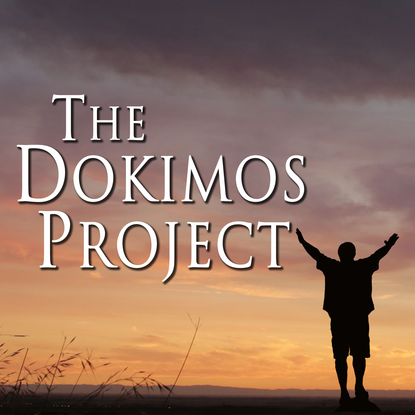 The Dokimos Project
