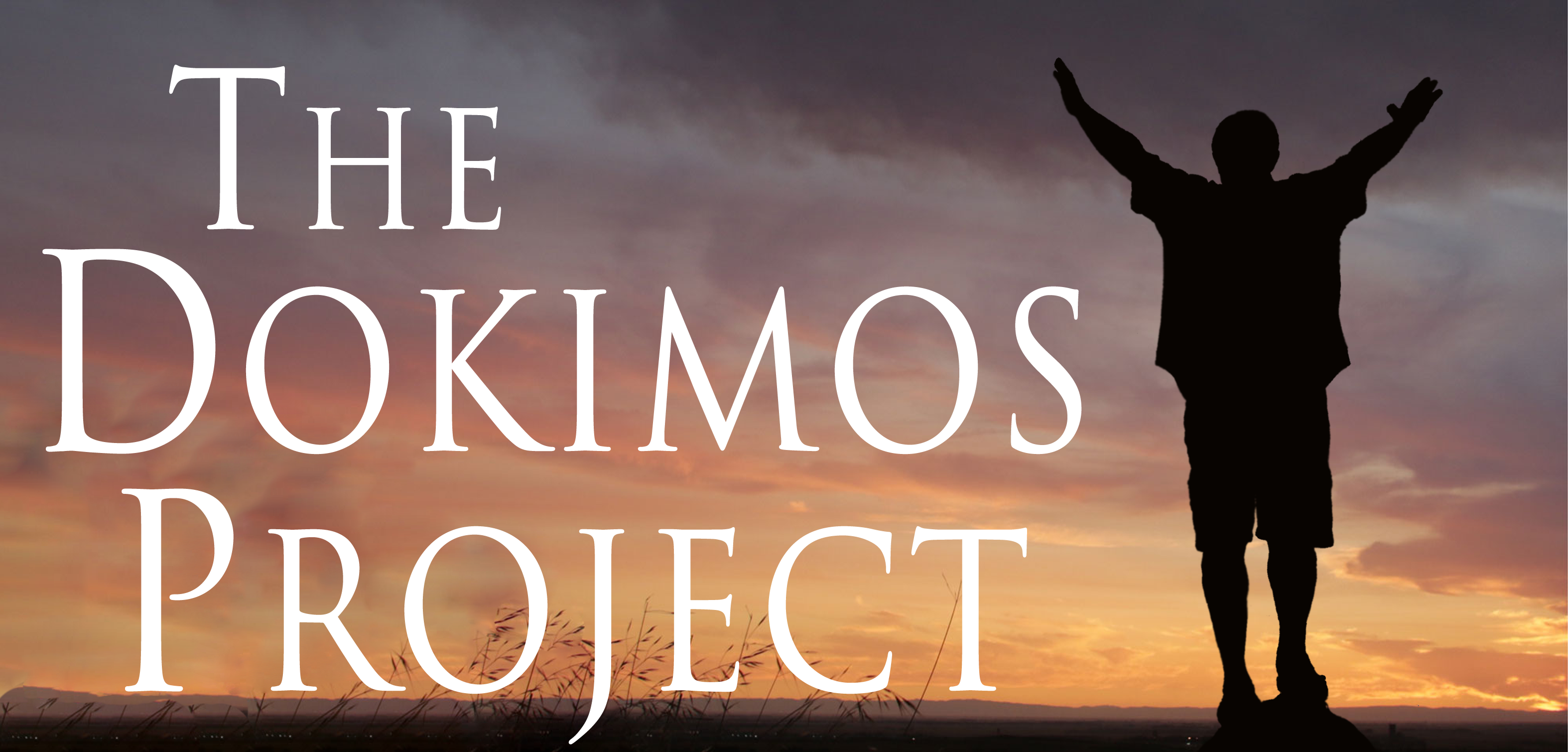 The_Dokimos_Project_ResponsiveWeb2020